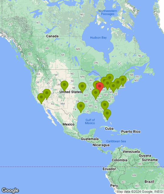 Cincinnati Bengals_league.png